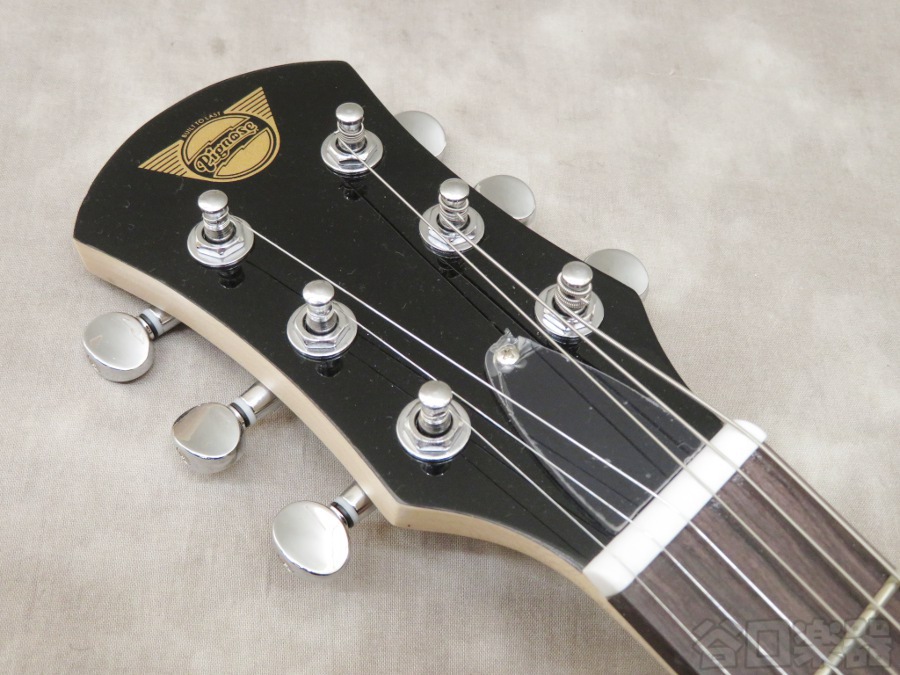 Pignose PGG-200/Left Hand (BK) / Leftyギター&ベース | 谷口楽器 