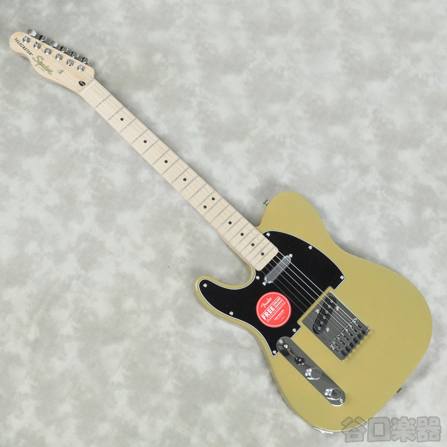 Squier by Fender Affinity Series Telecaster Left Hand / エレキ
